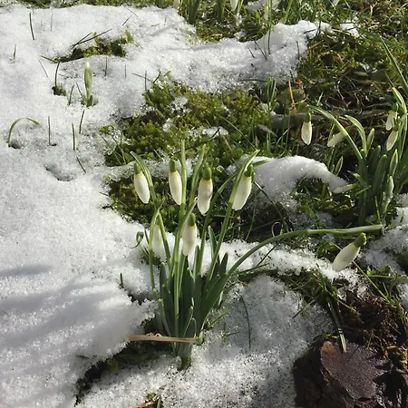 Le Pre En Bulles Dom wakacyjny *
