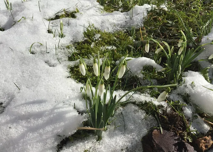 Le Pré En Bulles Hébergement de vacances *