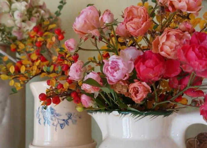 Le Pré En Bulles Hébergement de vacances Chiny